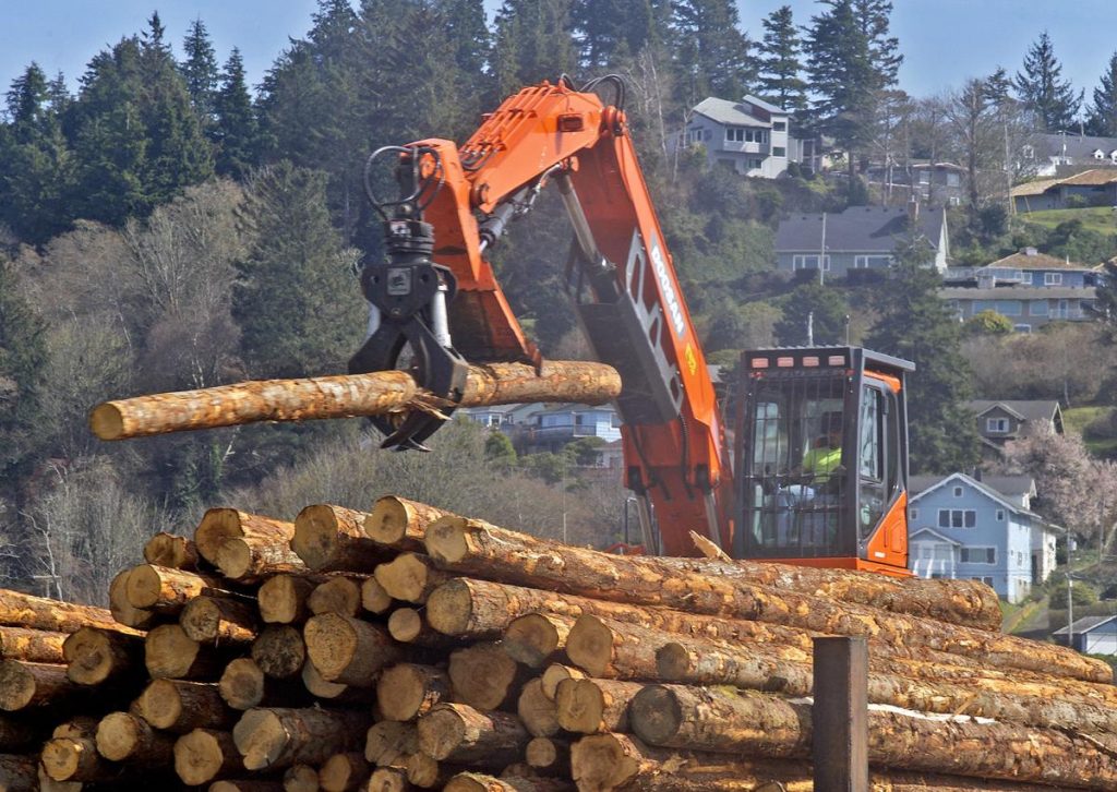 Latvian sawmills reduce production; sawlog prices fall in October U.S